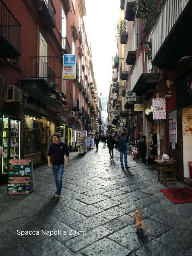 Ciuciu' Naples Apartment Dış mekan fotoğraf